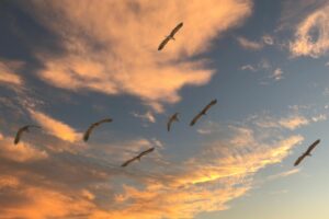 声優養成所がオンラインに移行するメリットは？